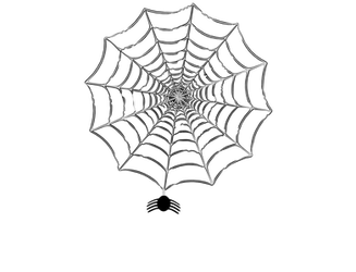 Spider Web