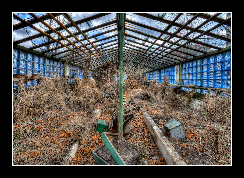 School Greenhouse 3