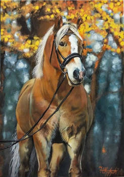 Autumn/Horse