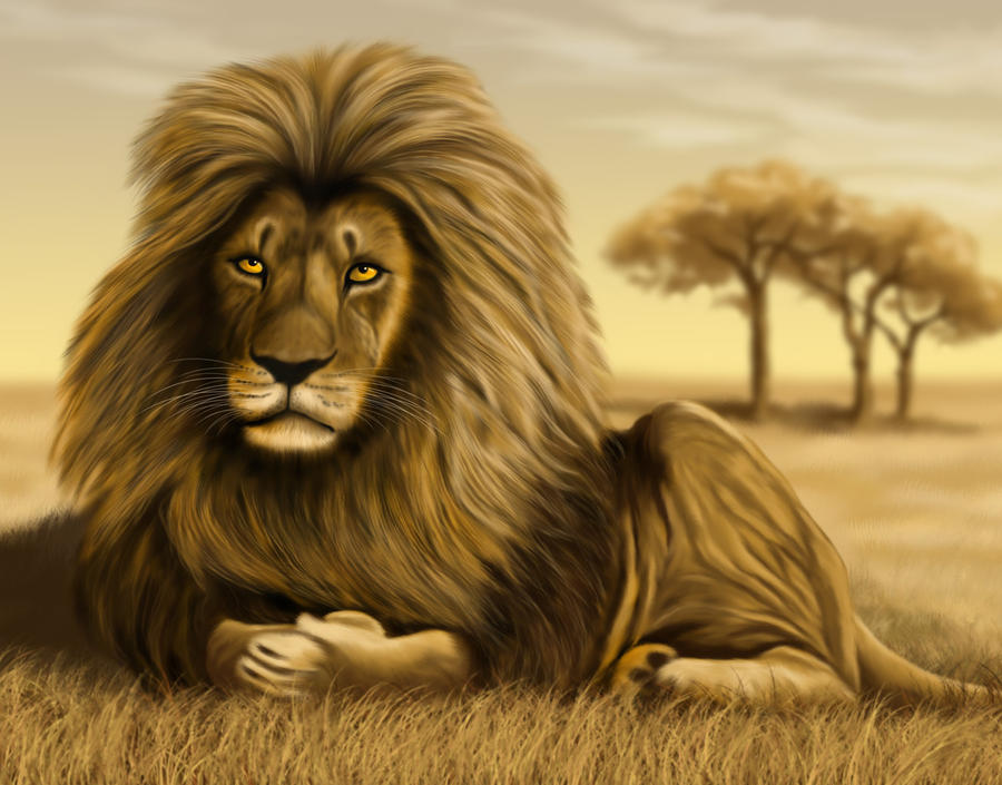 Lion