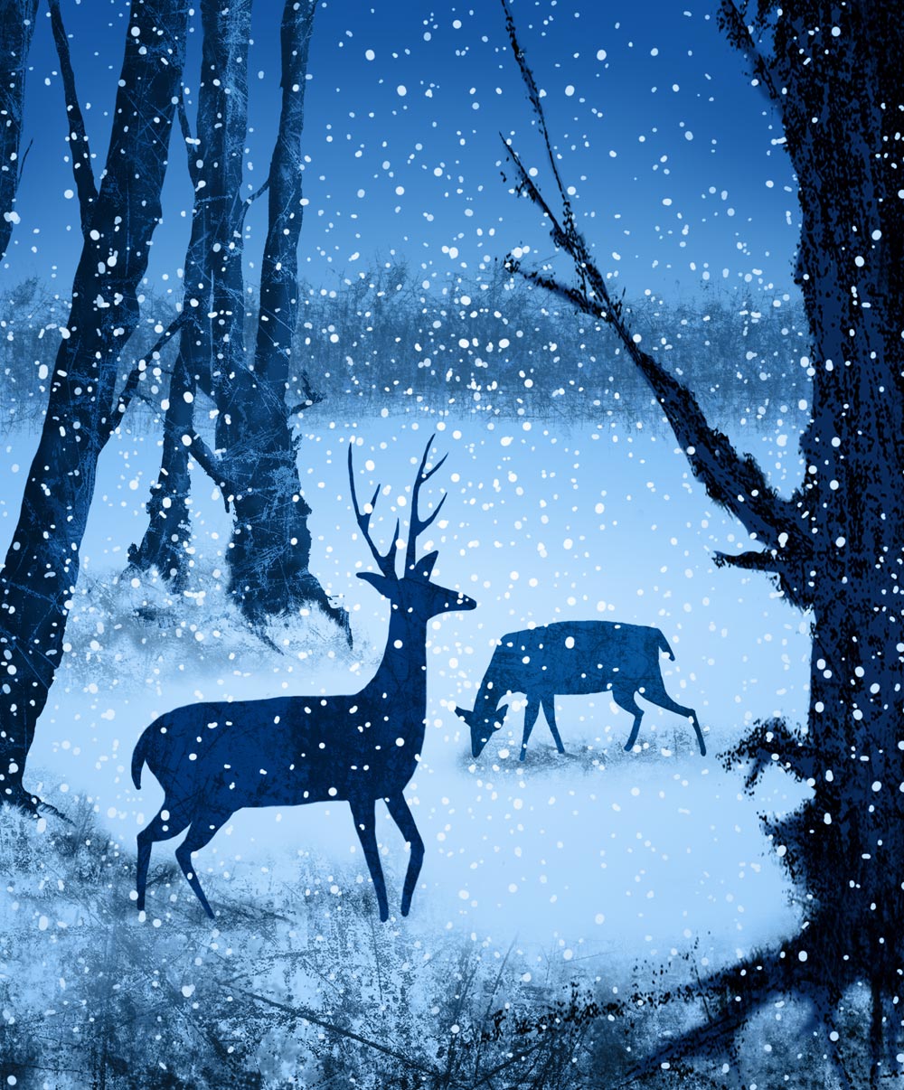 Winter Deer