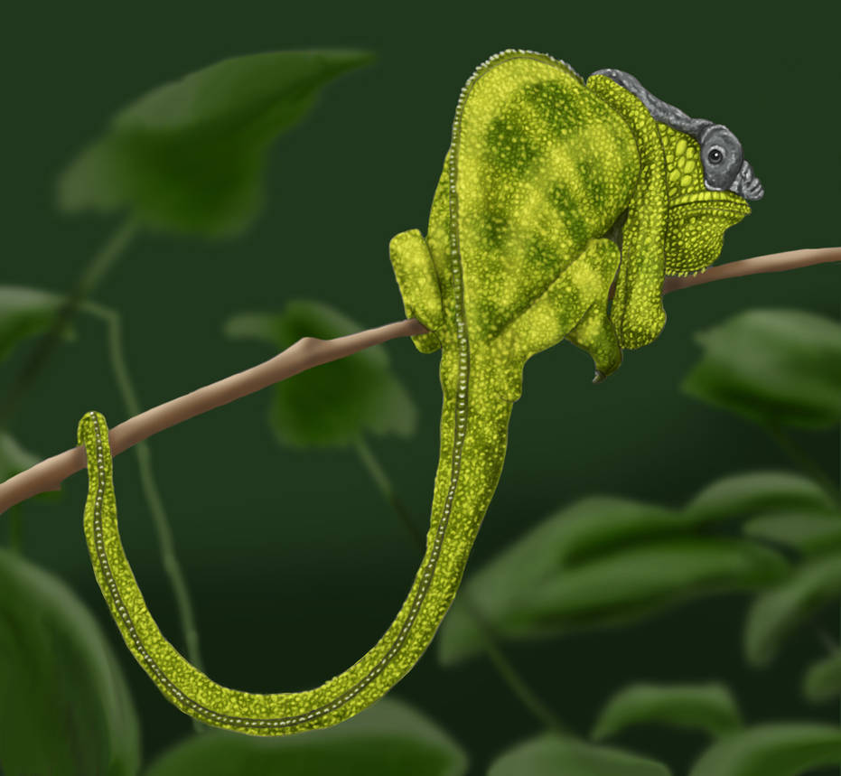 Grumpy by ravenscar45 on DeviantArt