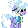 CloudChaser Wonderbolt