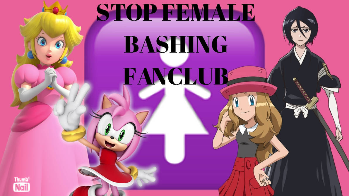 Getting Bashed Stop Female Bashing Poster by Tara012 on DeviantArt