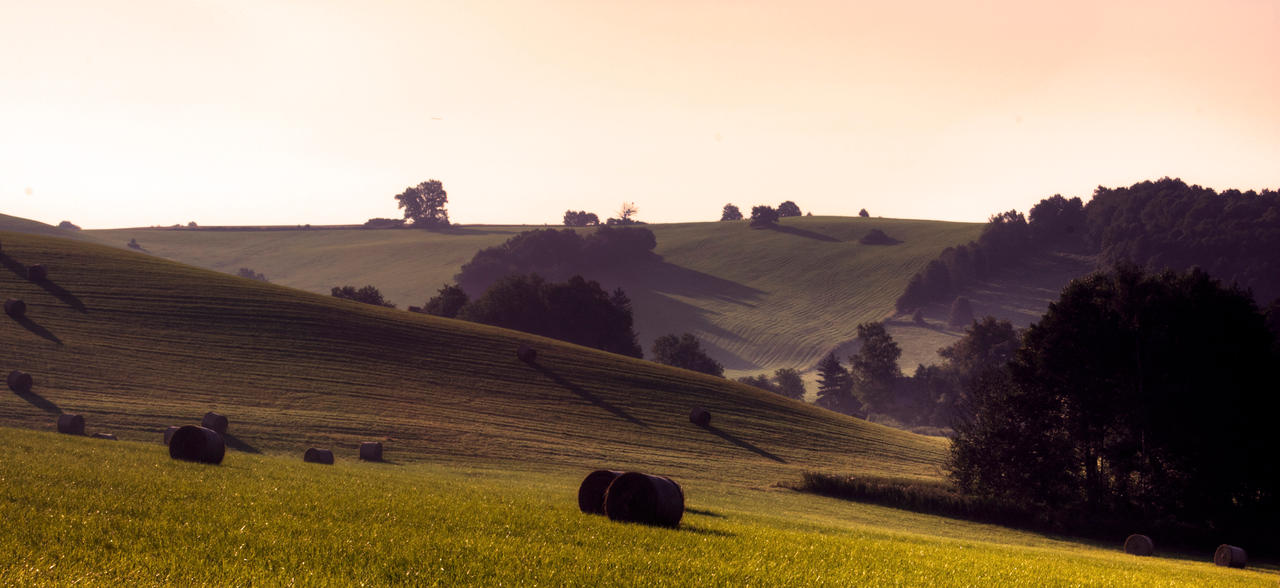 Lazy summer morning