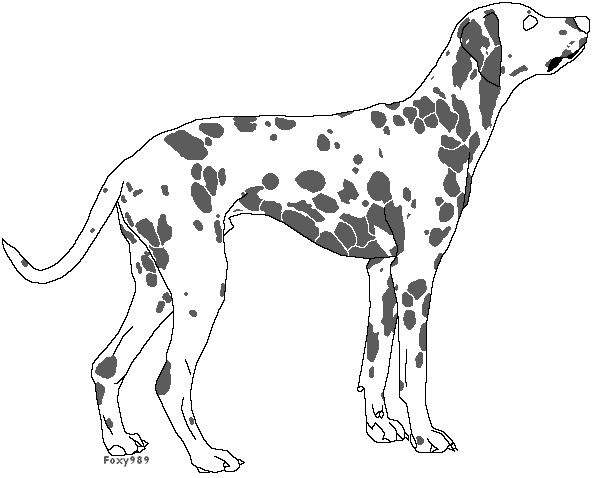 Dalmatian lineart1