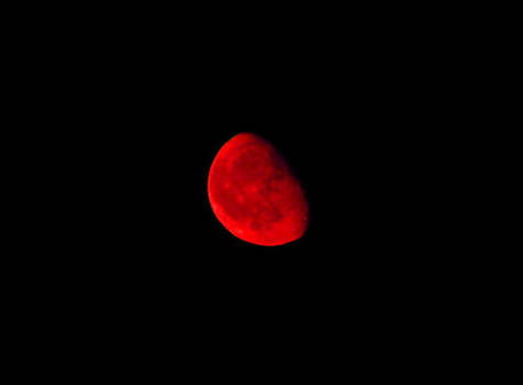 bloody moon III