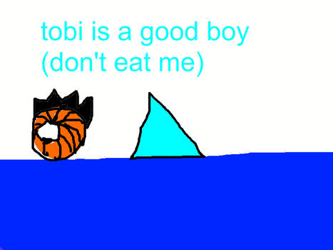 tobi at he beach page 3