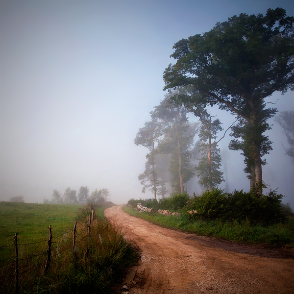 Draw me the countryside