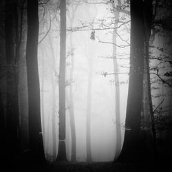 November mist by Al-Baum