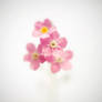 Pinks