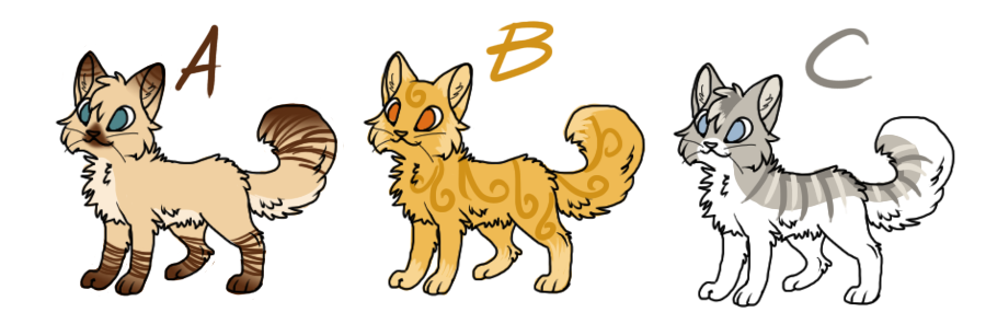 9 Point Cat Adopts--CLOSED