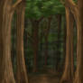 Forest Premade Background