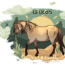 Leucos