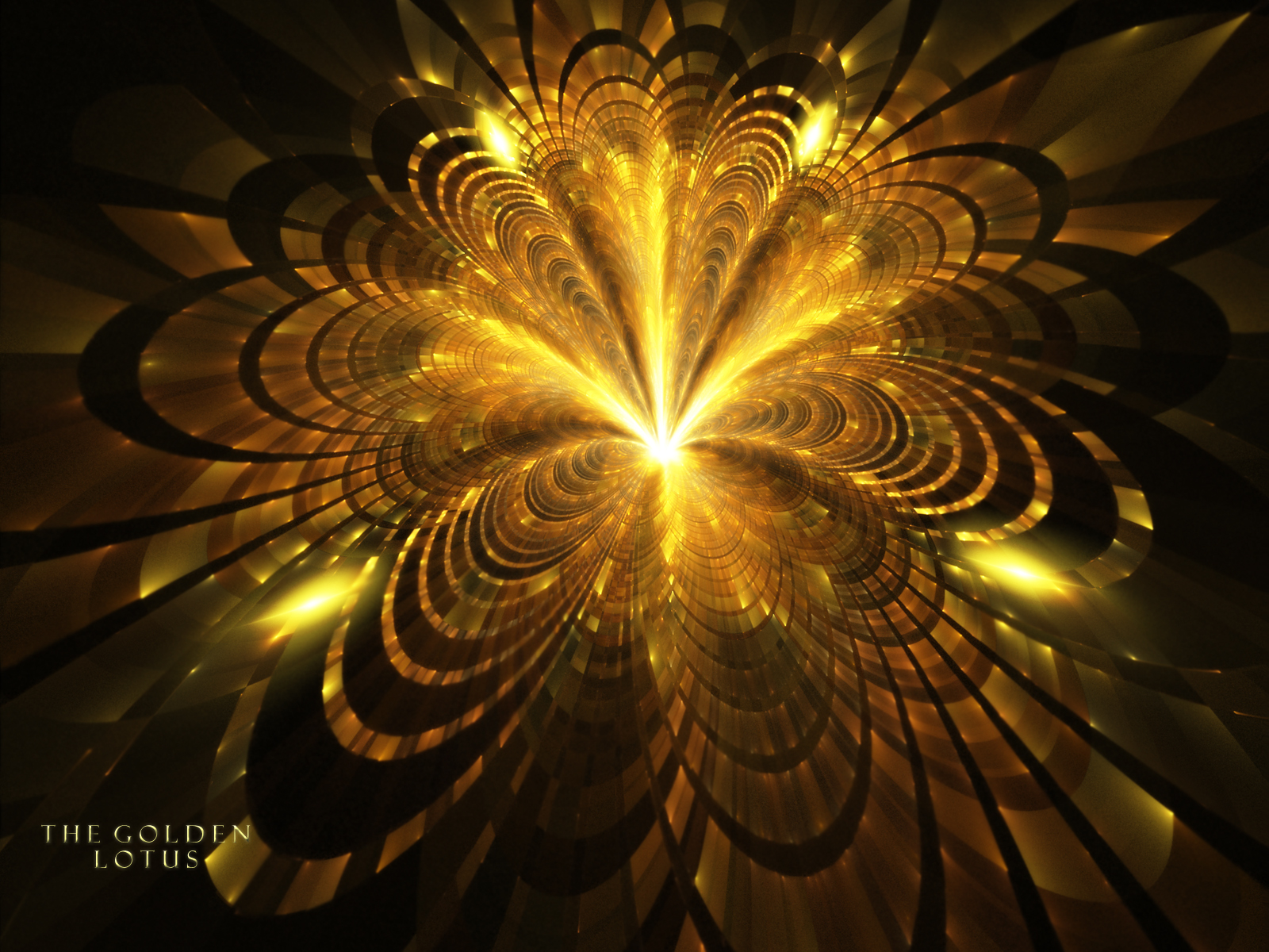 The Golden Lotus Wallpaper