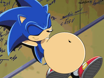 Sonic the Tubby Hedgehog !