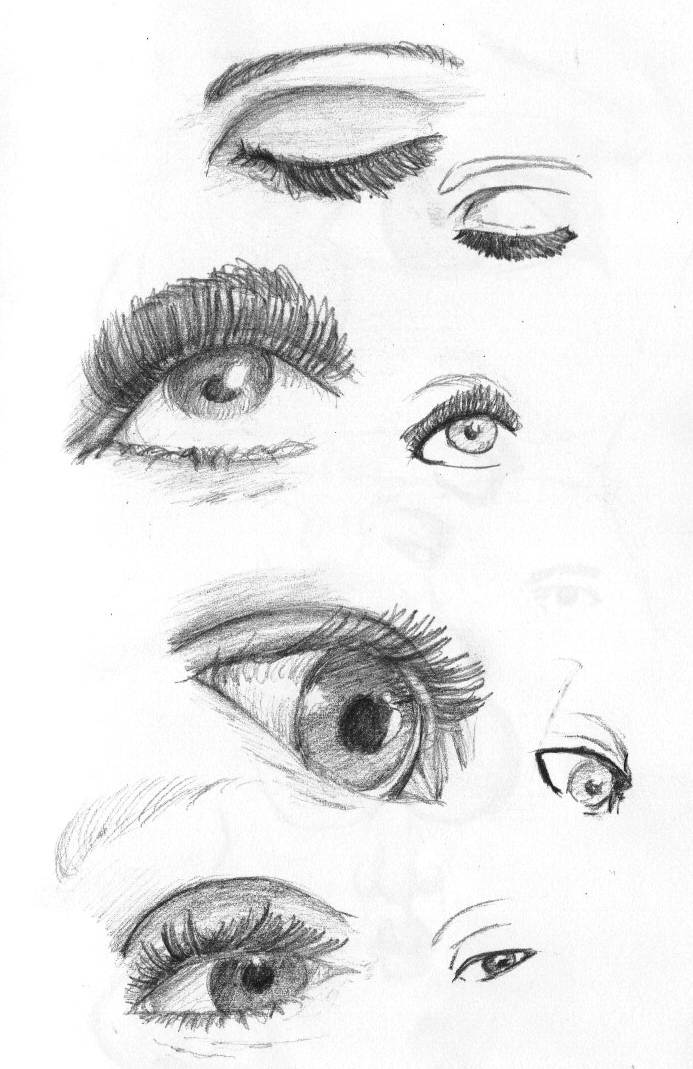 A little study of the eye