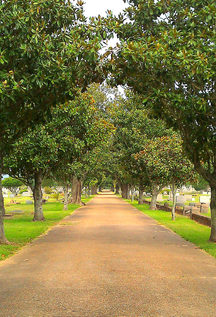 Infinite Tree Path The Infinite Path by notrootoo on DeviantArt