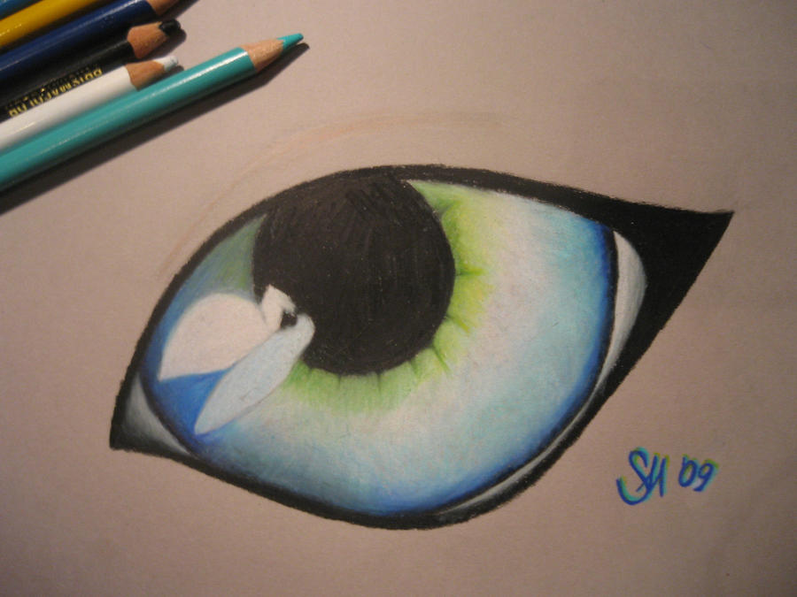 Eye