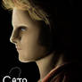 Oops. I Cato'd