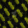 Graffity Fruits - Pineapples