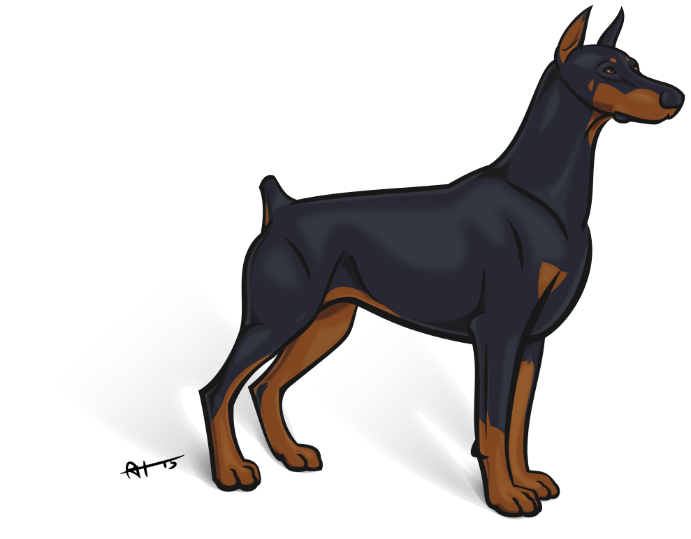 European Doberman Boy