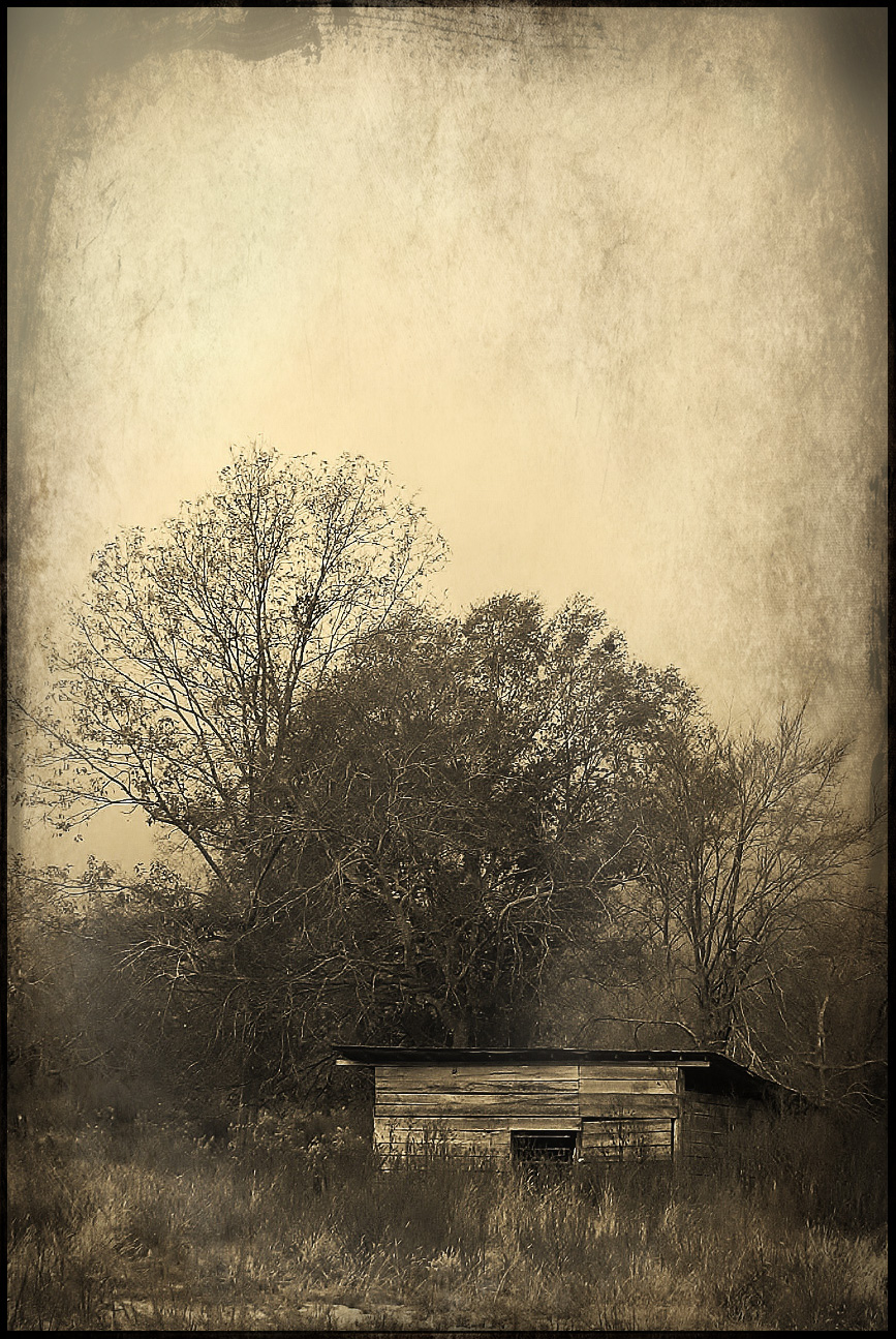 Old tin type