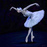 The Dying Swan