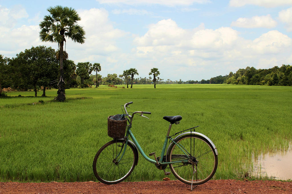 Biking through rice paddies around Angkor Wat by Mikobi on DeviantArt
