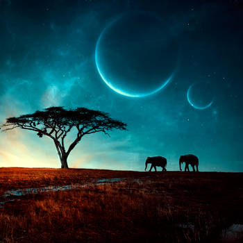 the journey by BaxiaArt