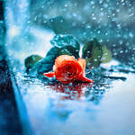 rain... by BaxiaArt