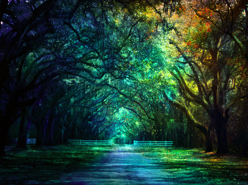 Magic Place magical place by BaxiaArt on DeviantArt