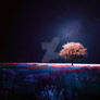 night