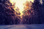 winter II