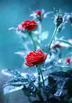 ice... by BaxiaArt