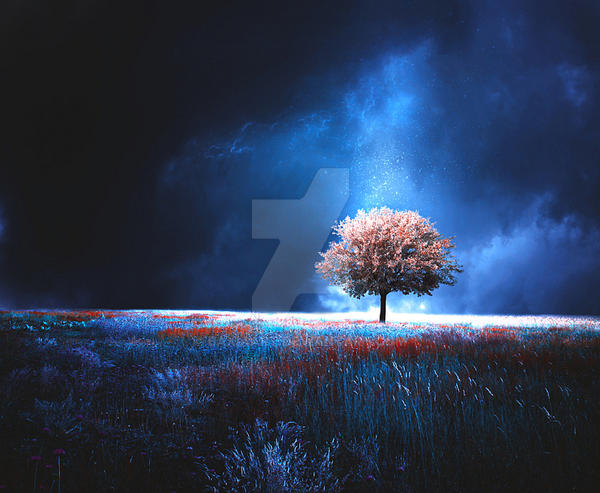 magic tree by BaxiaArt on DeviantArt