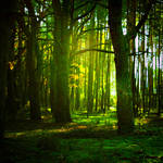 green woods by BaxiaArt