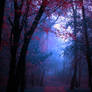 Autumn...