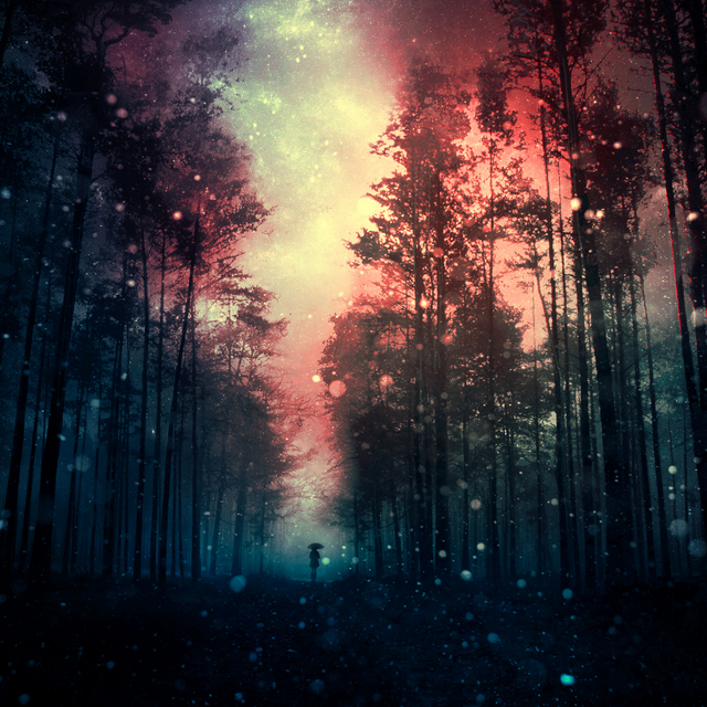 magical forest III