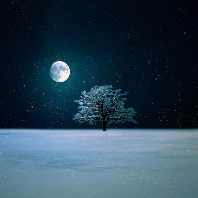 wallpaper winter night