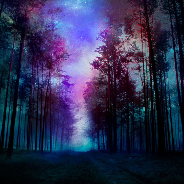pix Mystical Magical Forest Quotes deviantart