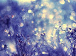 frozen memories II by BaxiaArt