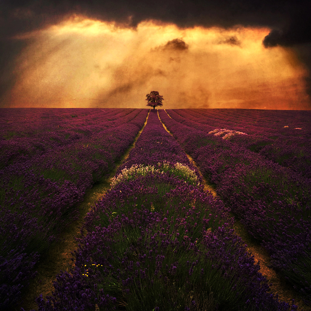 Far away from home by BaxiaArt Far away from home by BaxiaArt