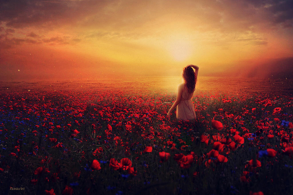 Песня наше лето закаты. Девушка на закате. Девушка и солнце. Девушка в поле на закате. Девушка цветы закат.