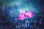 Spring by BaxiaArt
