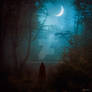 NIght