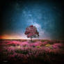 Magic Tree