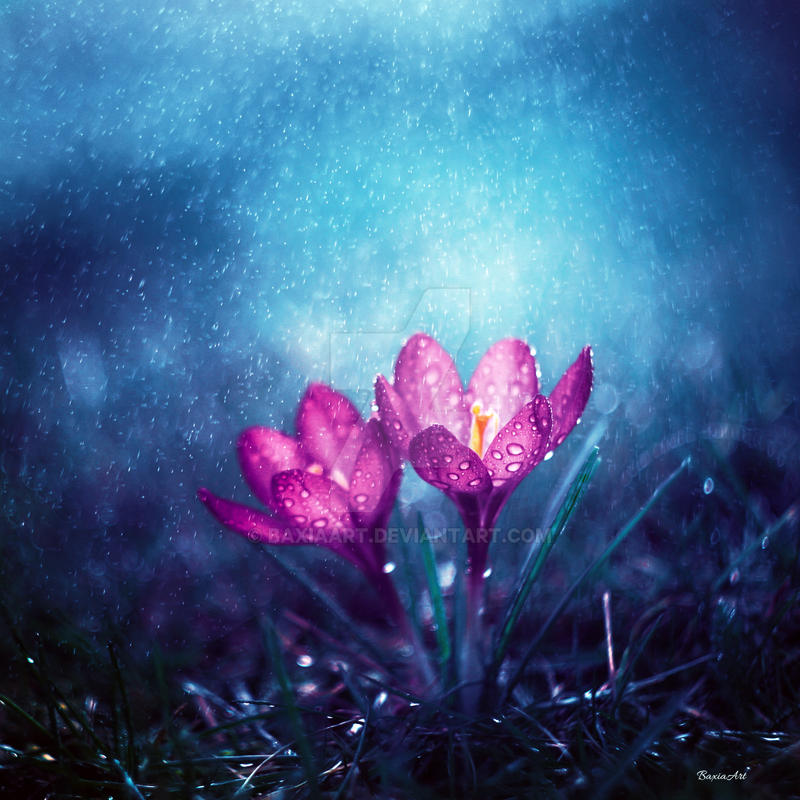 Spring