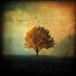 Autumn