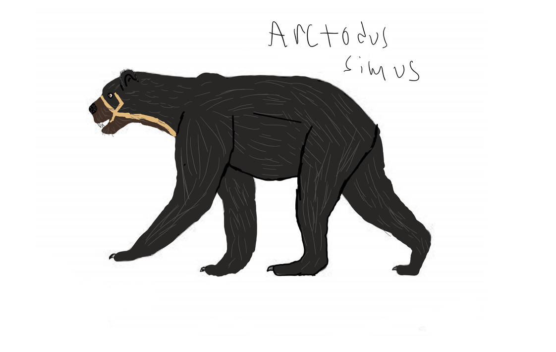 A.Simus by Dinoboyroy52 on DeviantArt